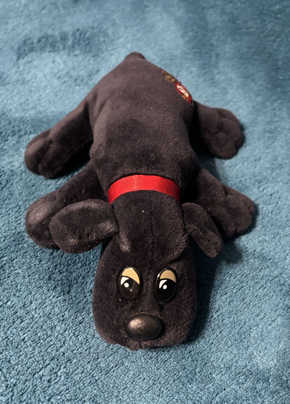 Blue Puppy Dog With Red Santa Hat