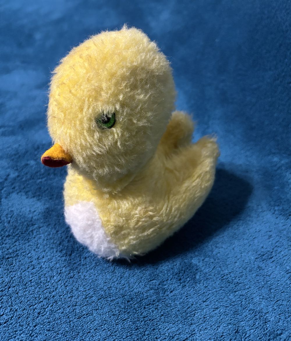 Tentacle Kitty - Void Wyrm Little One