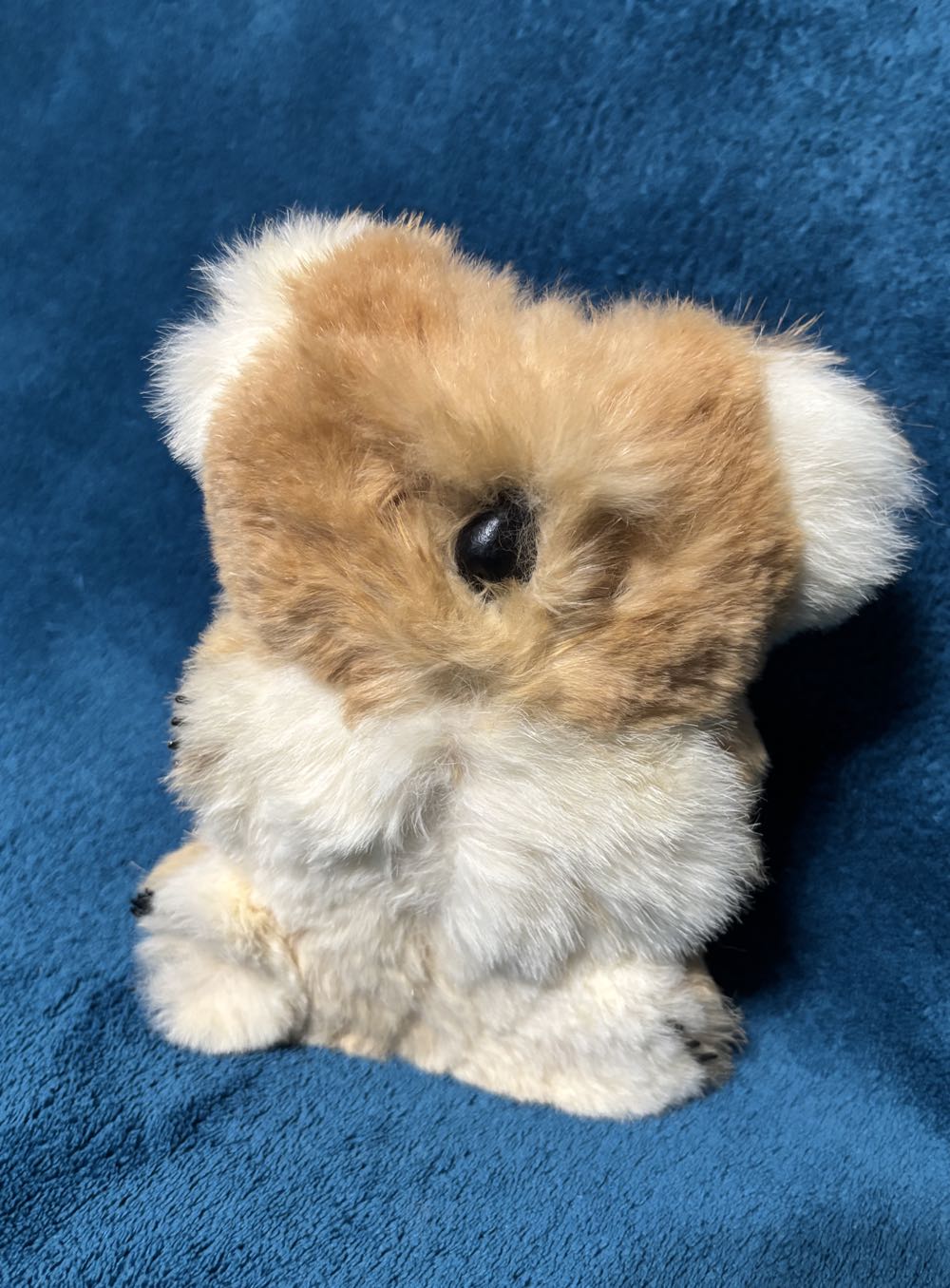 Pokéball: Luxury Ball 5"