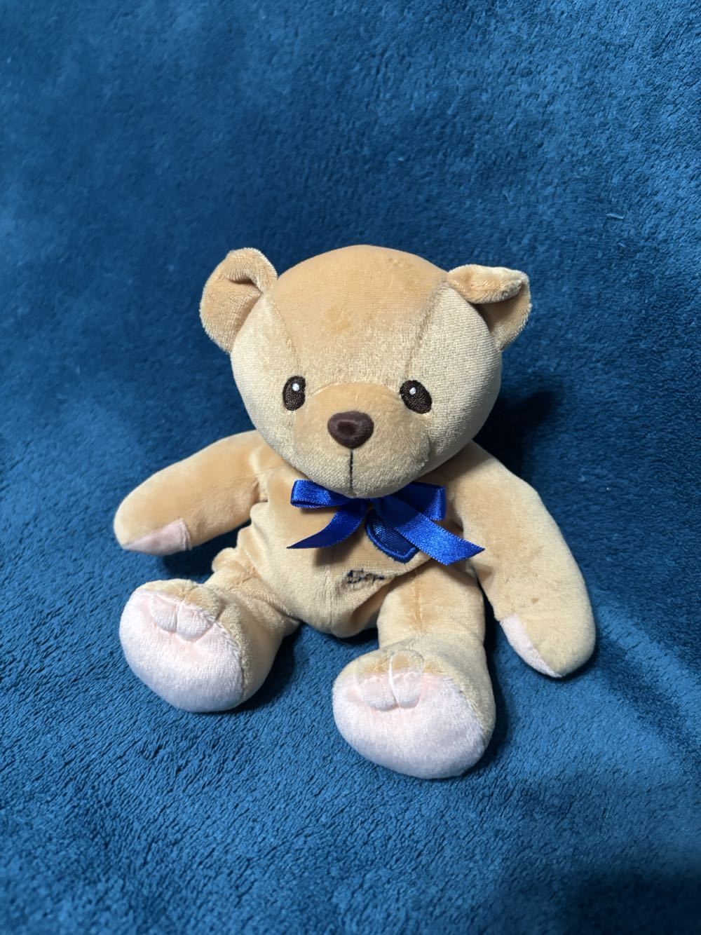 Pokemon Velvet Squirtle 8” Plush Toy