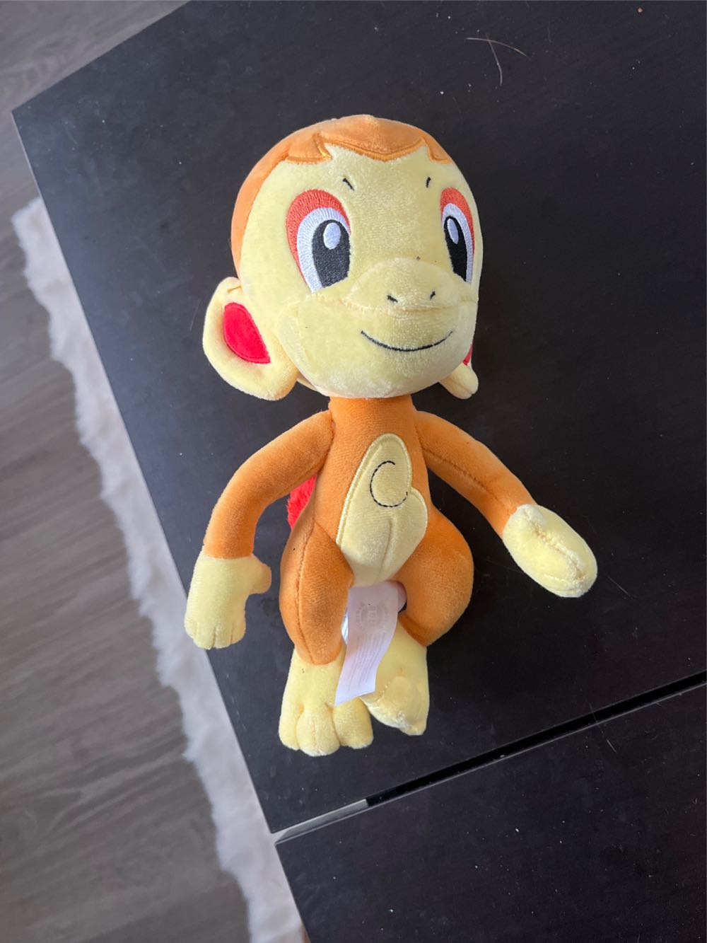 Issy The Bear - Paris