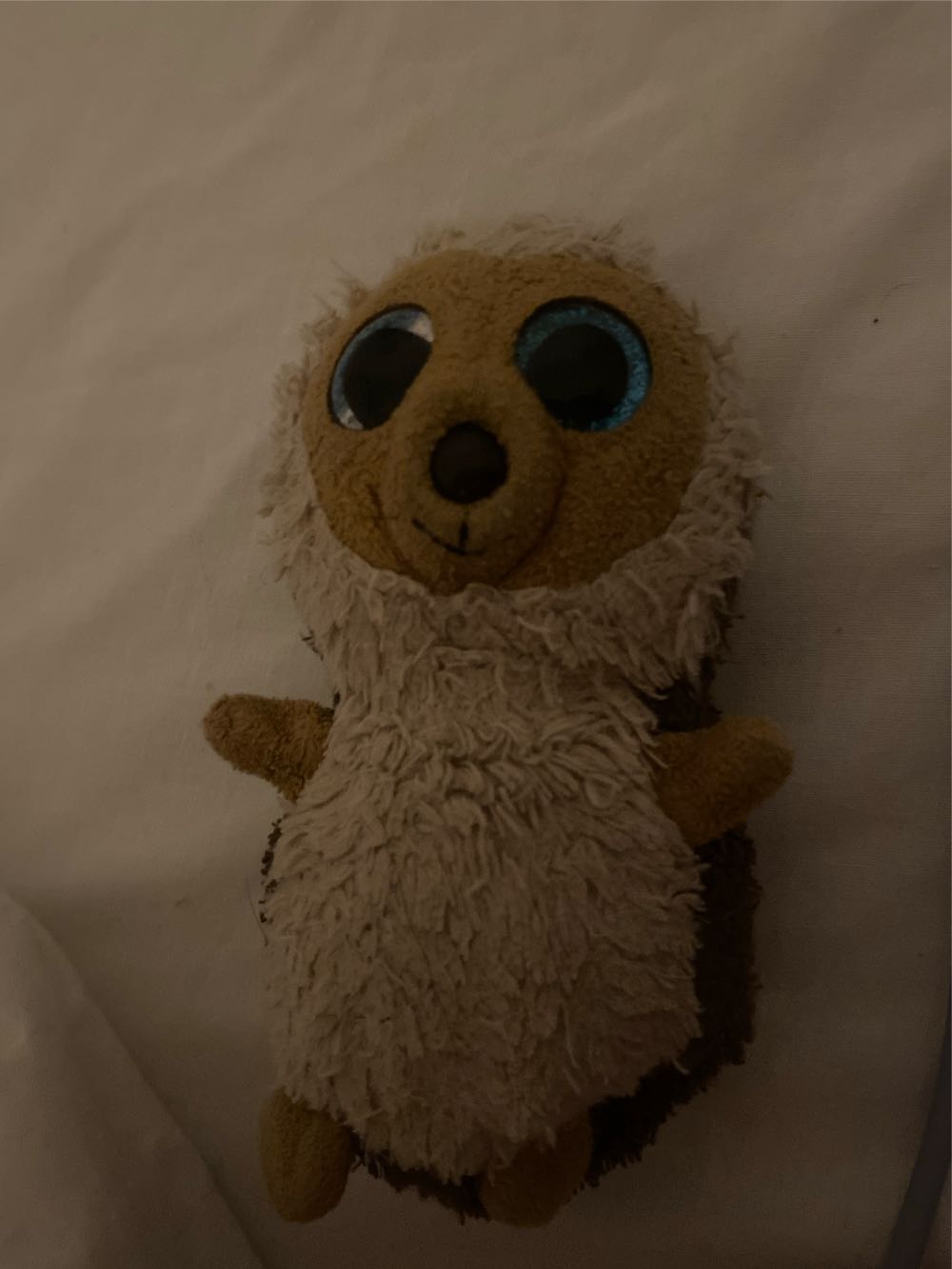 beanie Boo Hedge Hog  plush collectible - Main Image 2