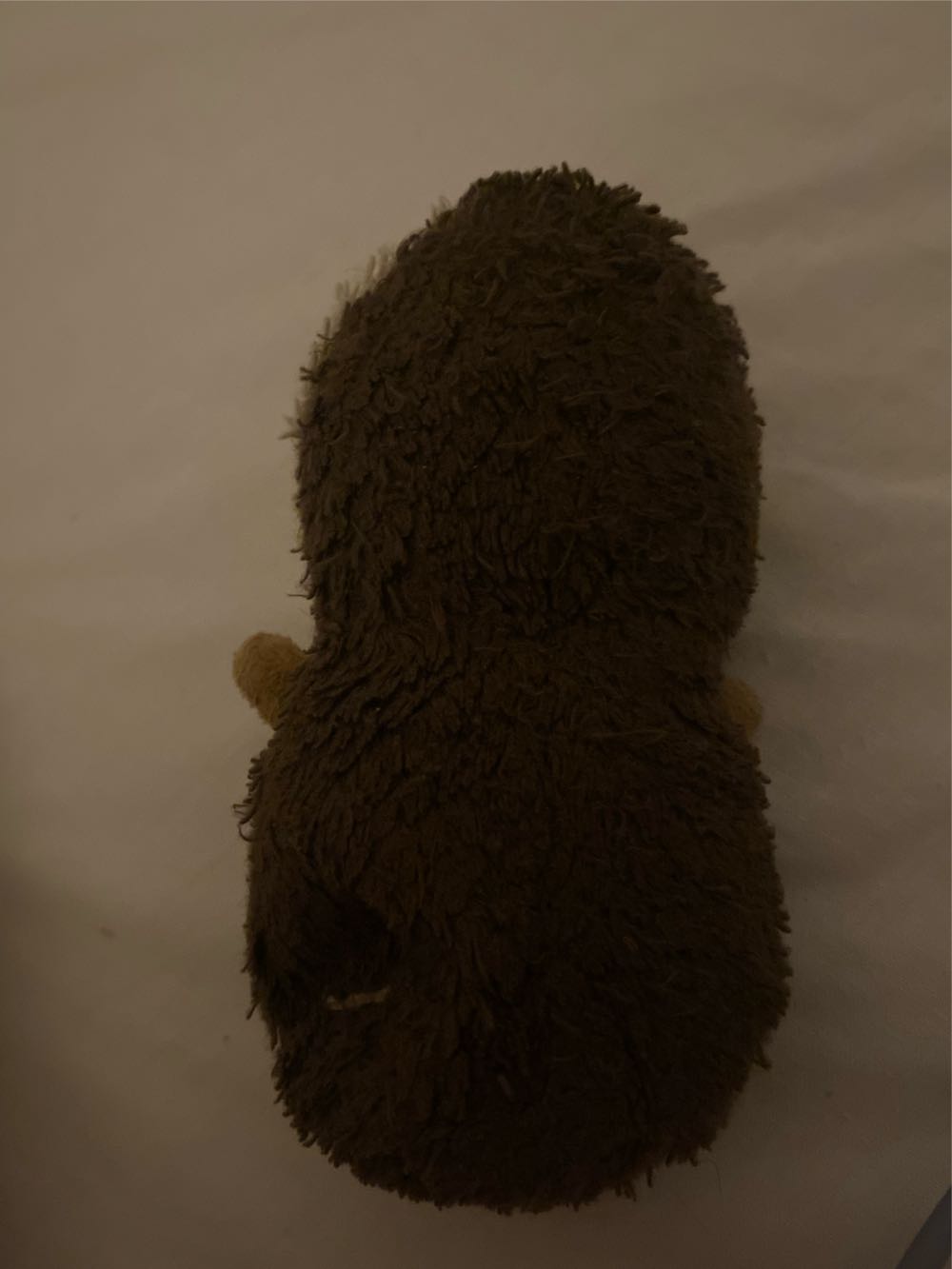 beanie Boo Hedge Hog  plush collectible - Main Image 3