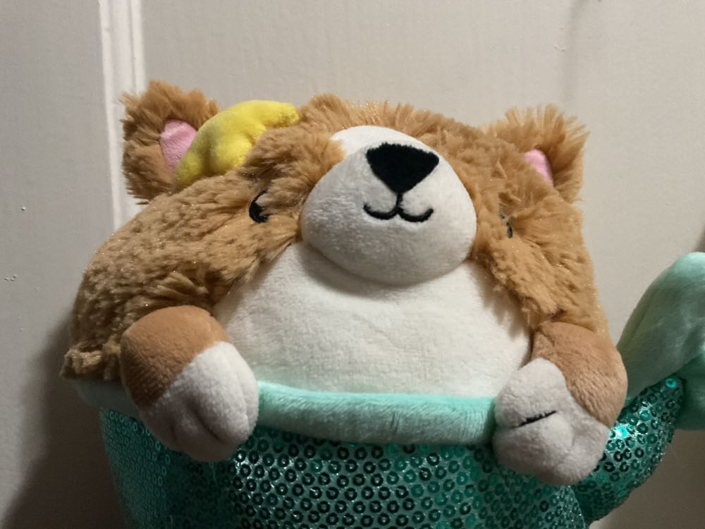 Ty Beanie Bouncers Buzzy The Bumble Bee New Bouncy Toy Ball