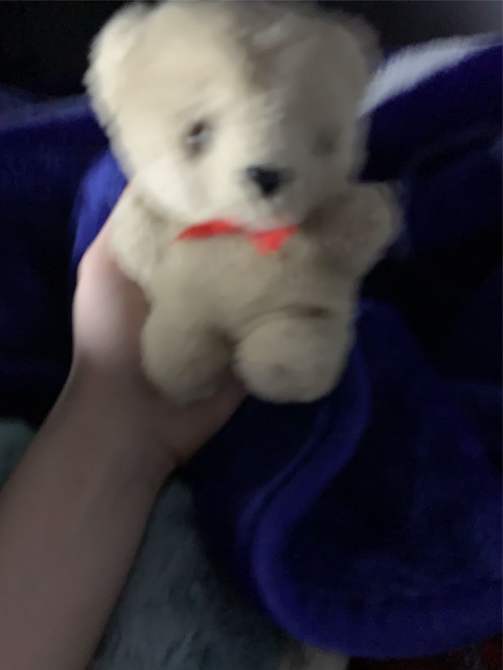 The Nightmare Before Christmas Zero 25 Inch