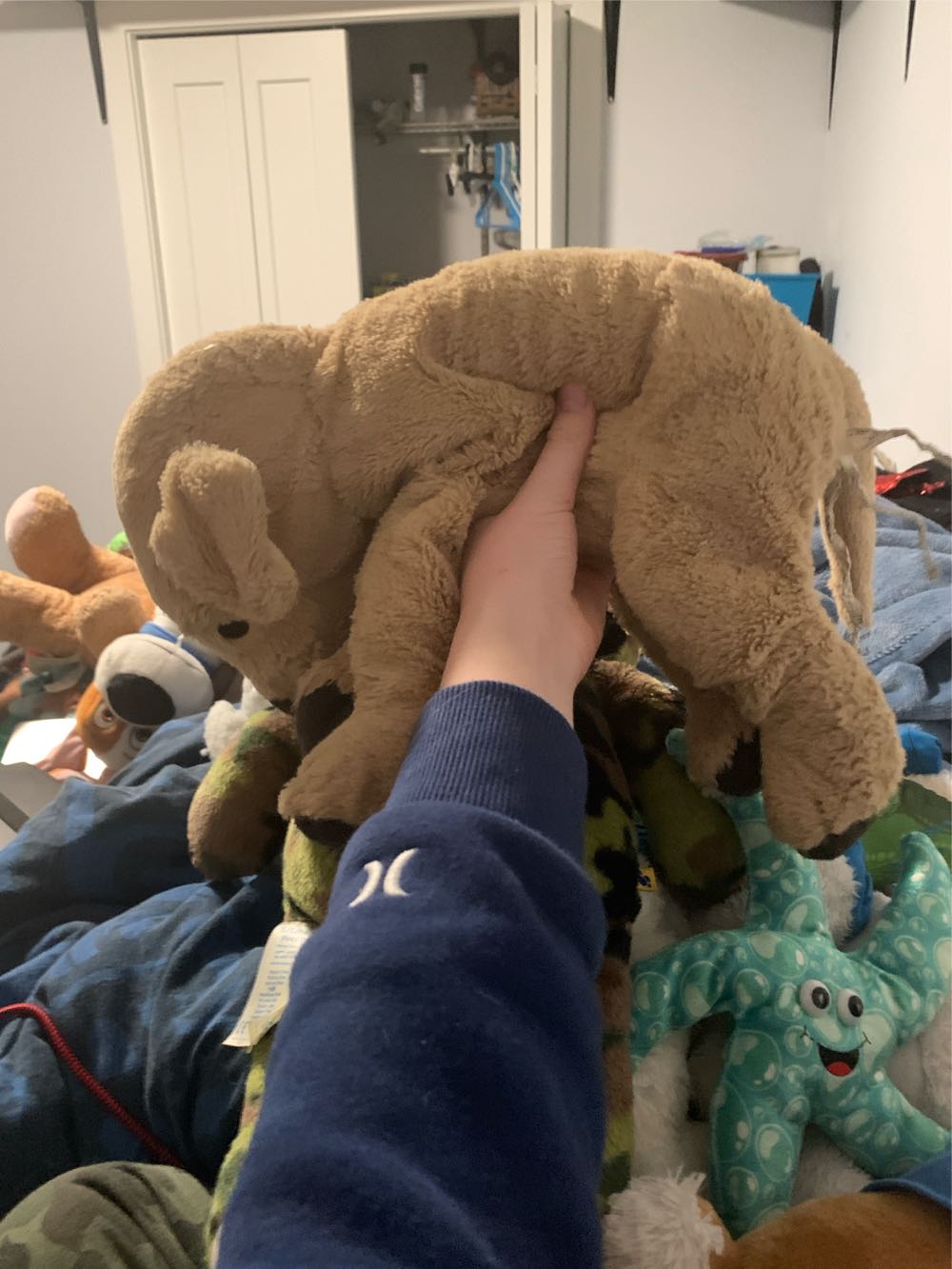 Golden Retriever Slea Sa-le-a  (Canada) plush collectible - Main Image 2