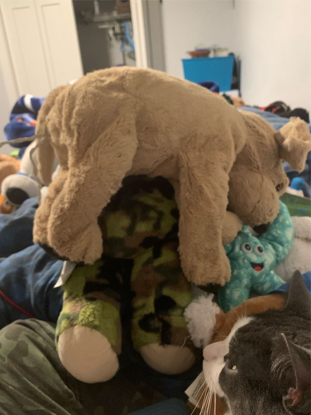 Golden Retriever Slea Sa-le-a  (Canada) plush collectible - Main Image 3