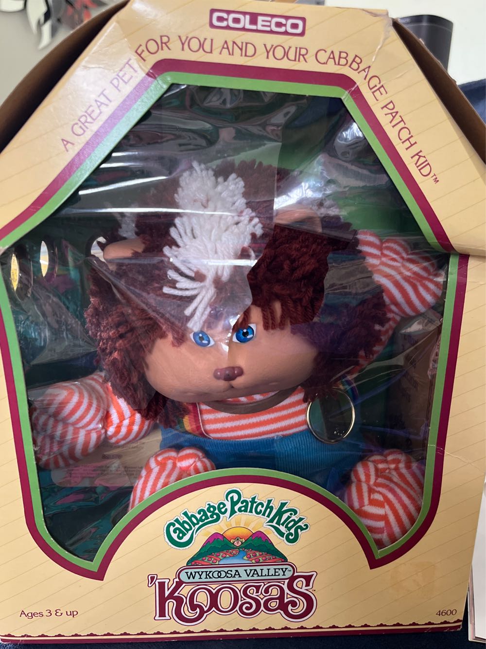 Cabbage Patch Koosa In Box  plush collectible [Barcode 076930038611] - Main Image 2