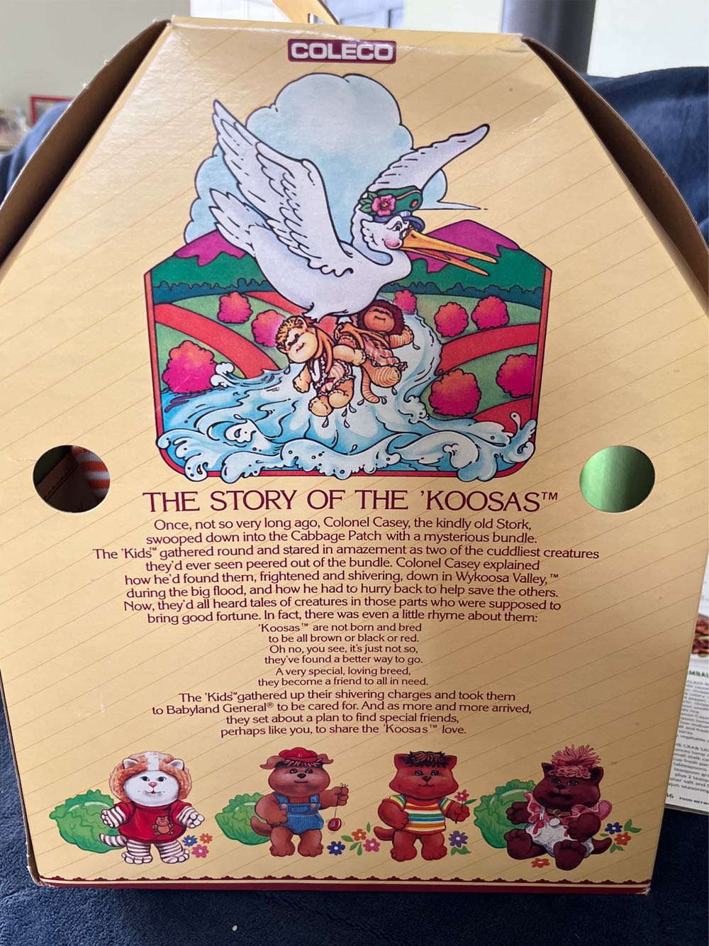 Cabbage Patch Koosa In Box  plush collectible [Barcode 076930038611] - Main Image 3