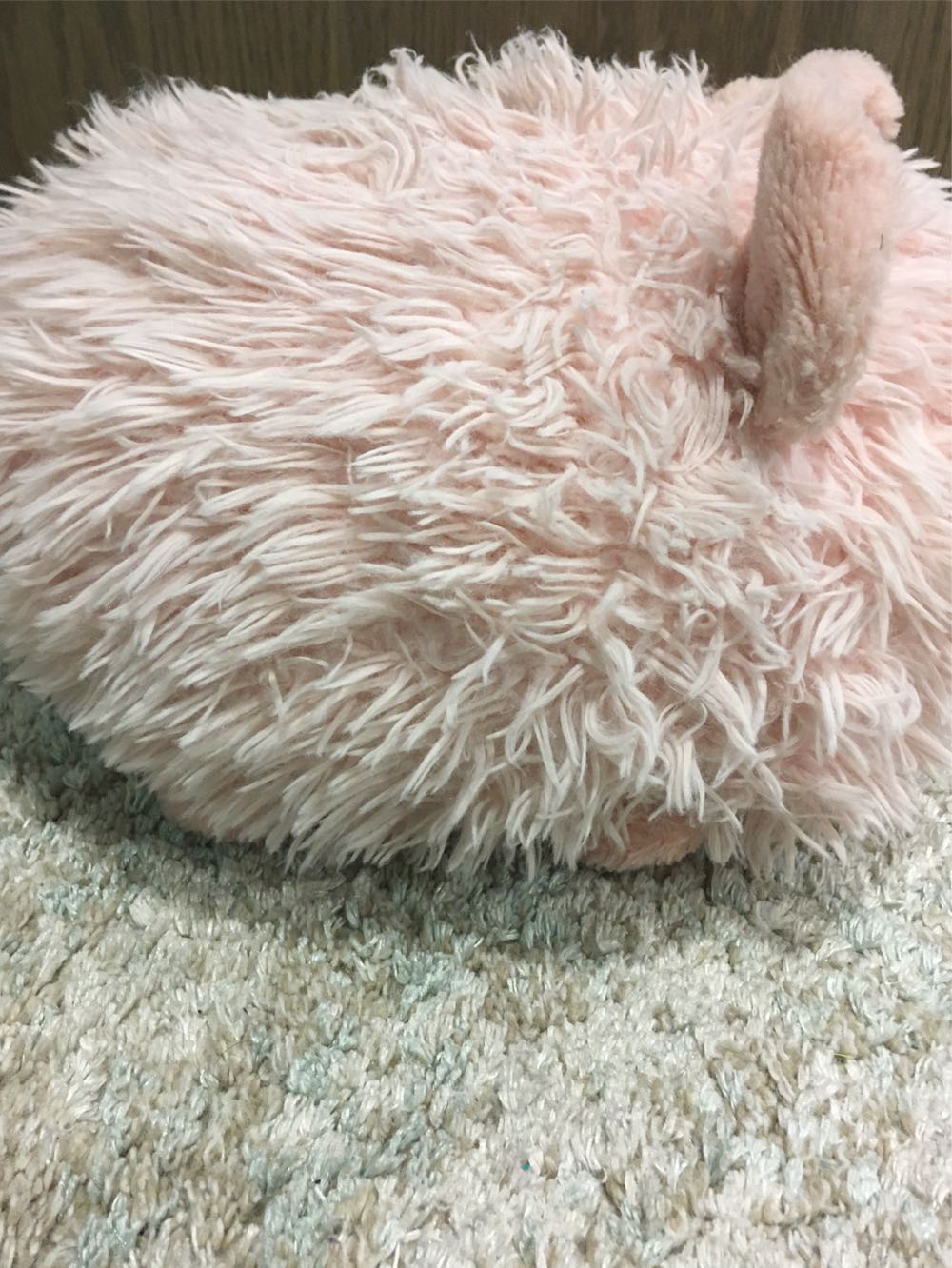 Mr.Big Fat Piggy Pigmin the 3rd (Pig)  plush collectible - Main Image 2