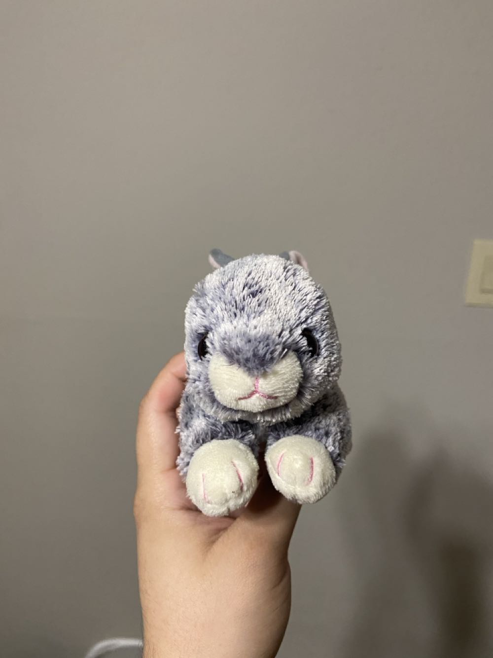 ty silk smokey the gray bunny  plush collectible - Main Image 2
