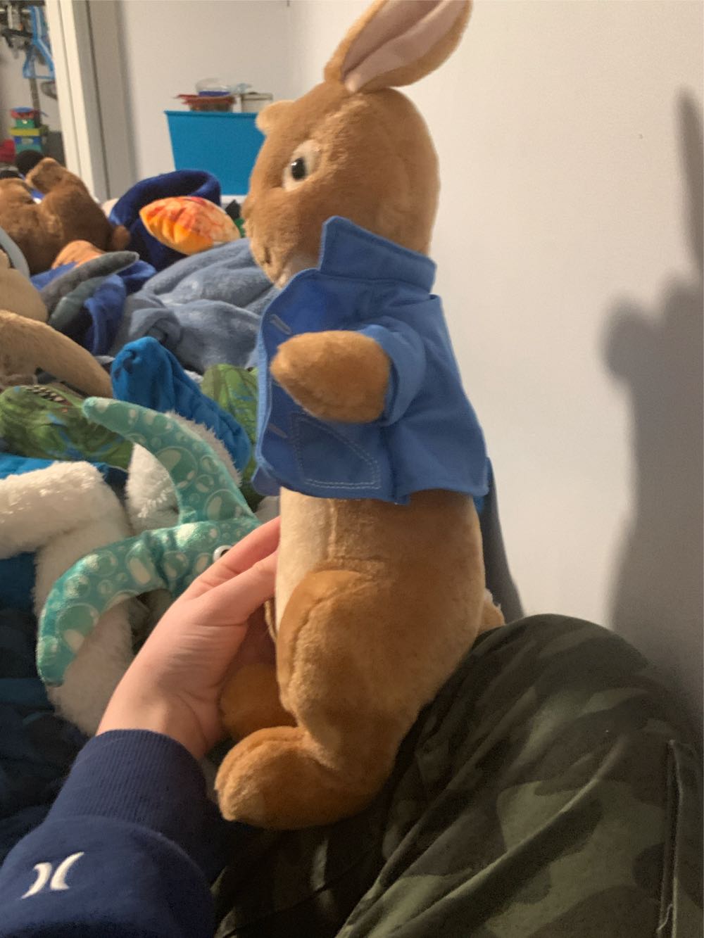 Peter Rabbit  (Canada) plush collectible - Main Image 2