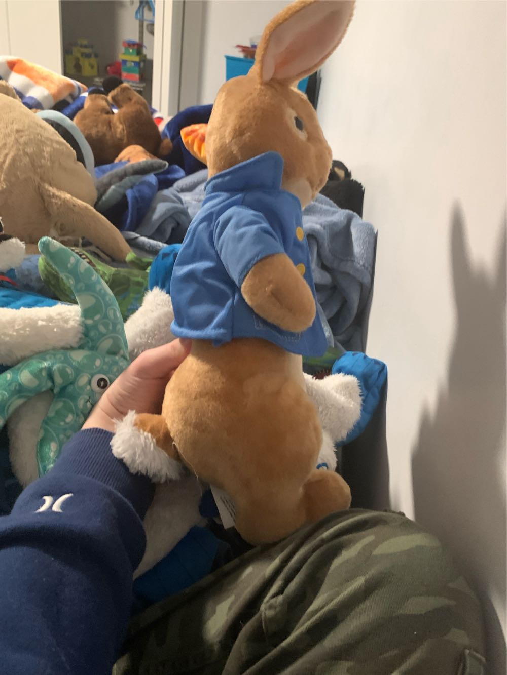 Peter Rabbit  (Canada) plush collectible - Main Image 3