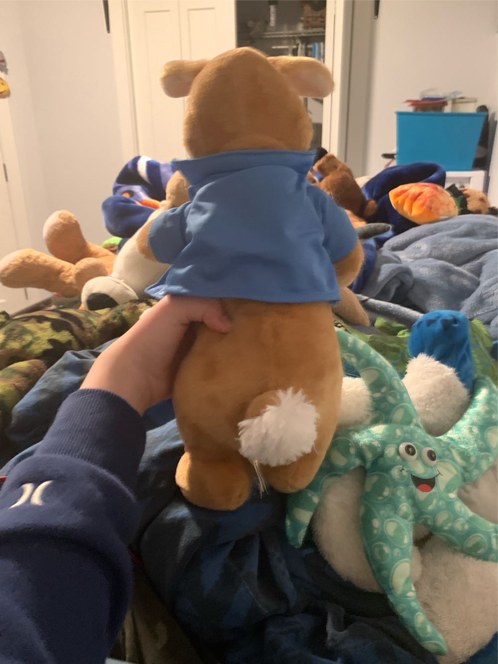 Peter Rabbit  (Canada) plush collectible - Main Image 4