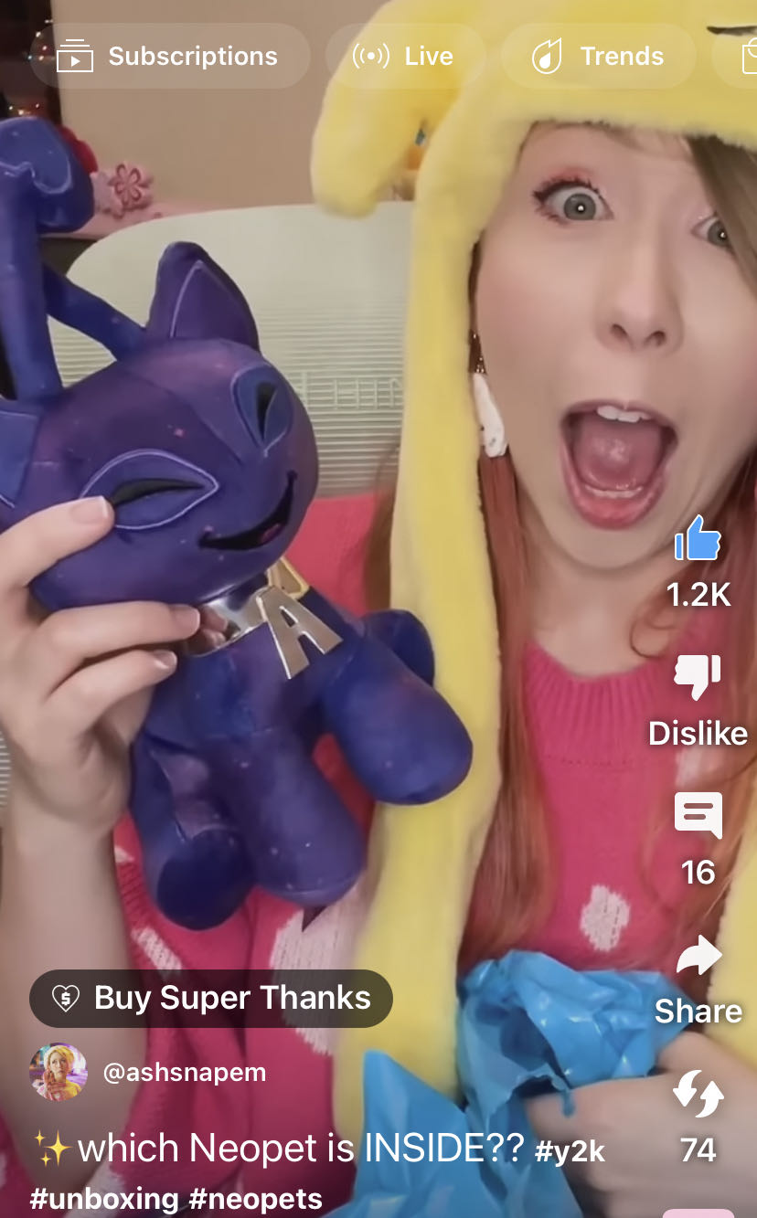 Tentacle Kitty House Special Ramen Little One