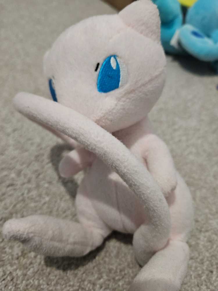 Oliva, Blue and purple Owl