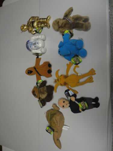 Baby Einstein Turtle