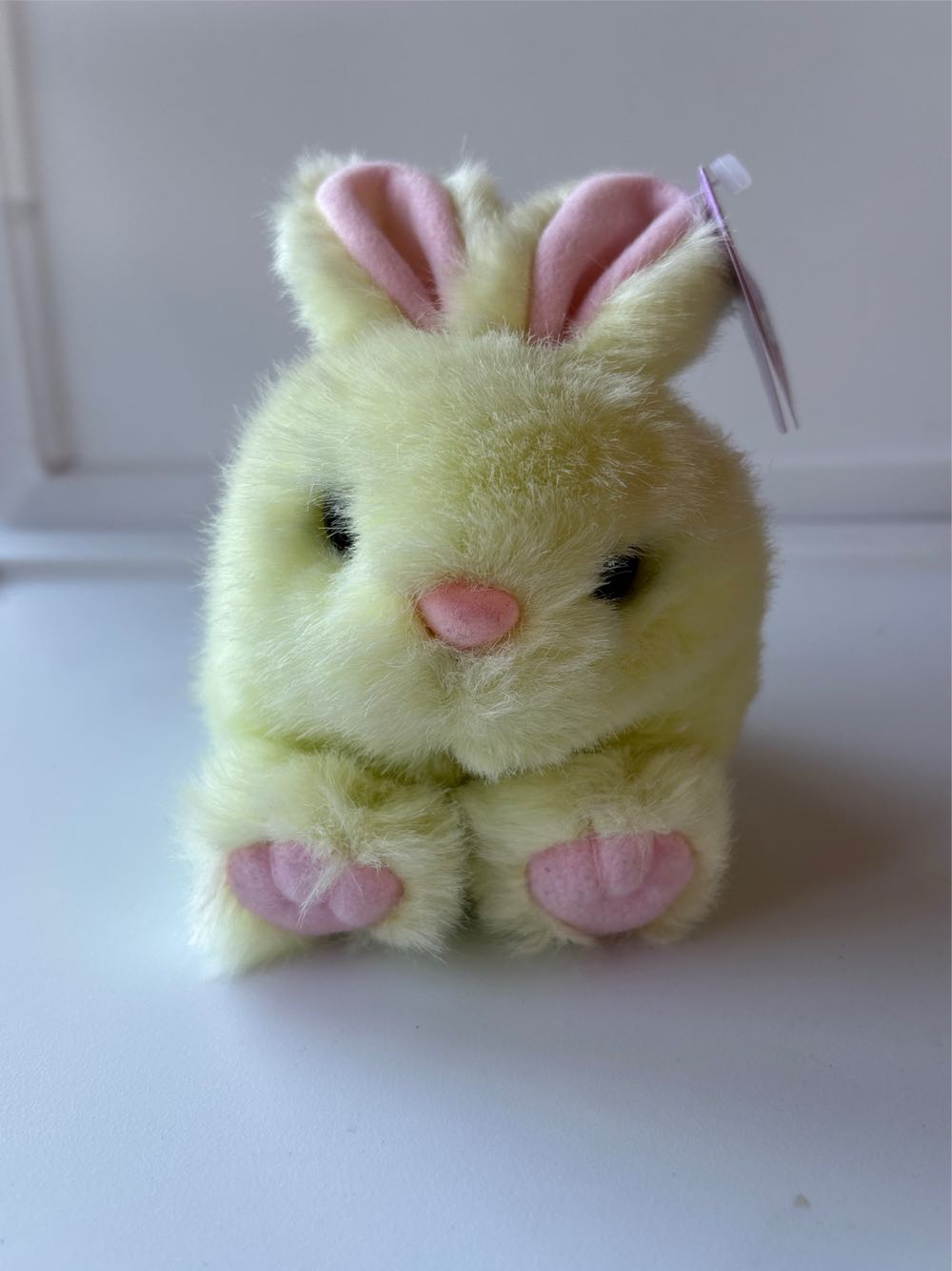 Blizzard Beanie Buddie