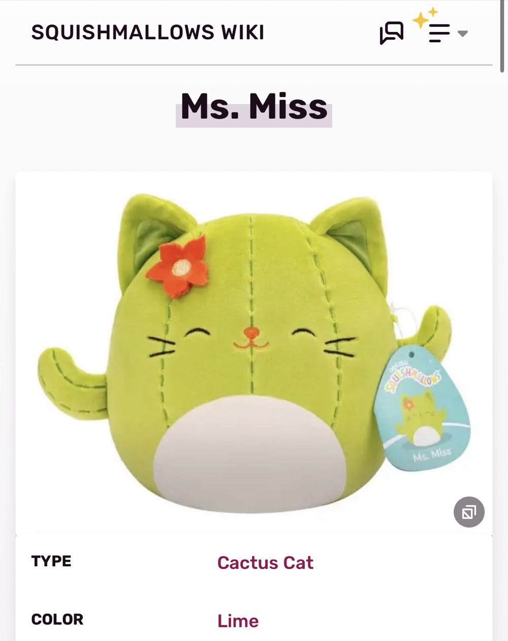 Ms. Miss The Sage Cactus Cat Fall Squad Good Vibes  plush collectible [Barcode 196566452473] - Main Image 2