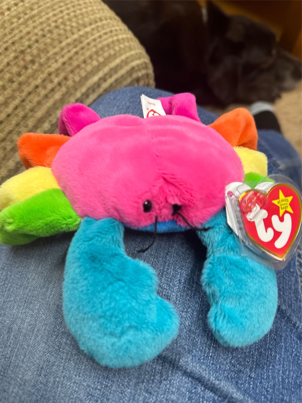 Cat With Really Big Head One Other Story That Isn’t As Good