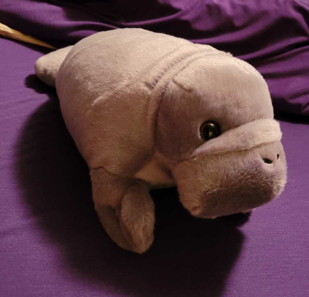 グルーミー ぬくいーず Gloomy