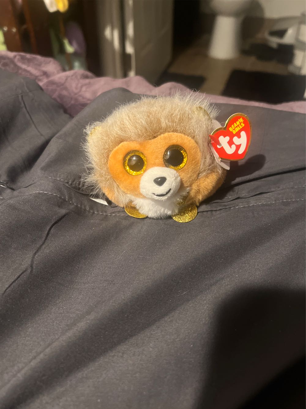 Fox 12 Disneyland Paris Rox