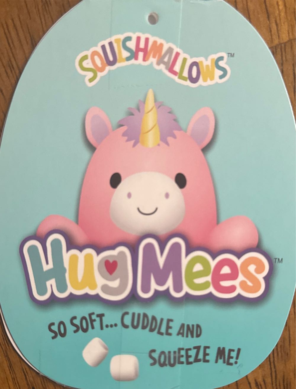 Disney World Christmas Mickey - 2024