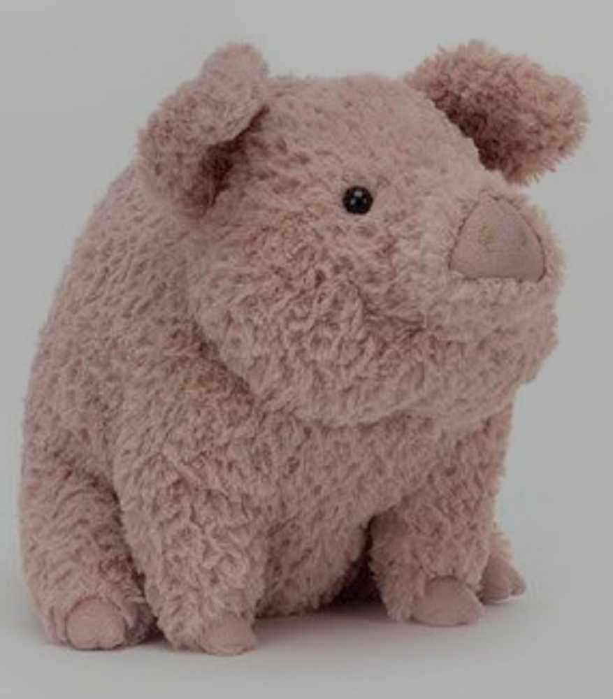 Rainbow The Rainbow Poodle