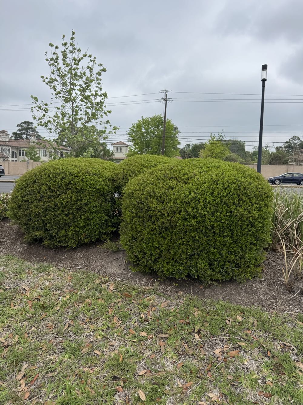 King Mickey Mouse Medium Soft Toy