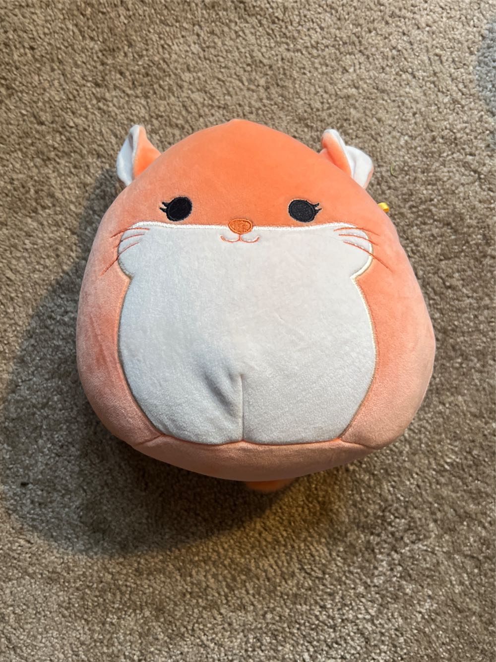 Disney Parks Aladdin Abu Pal Under