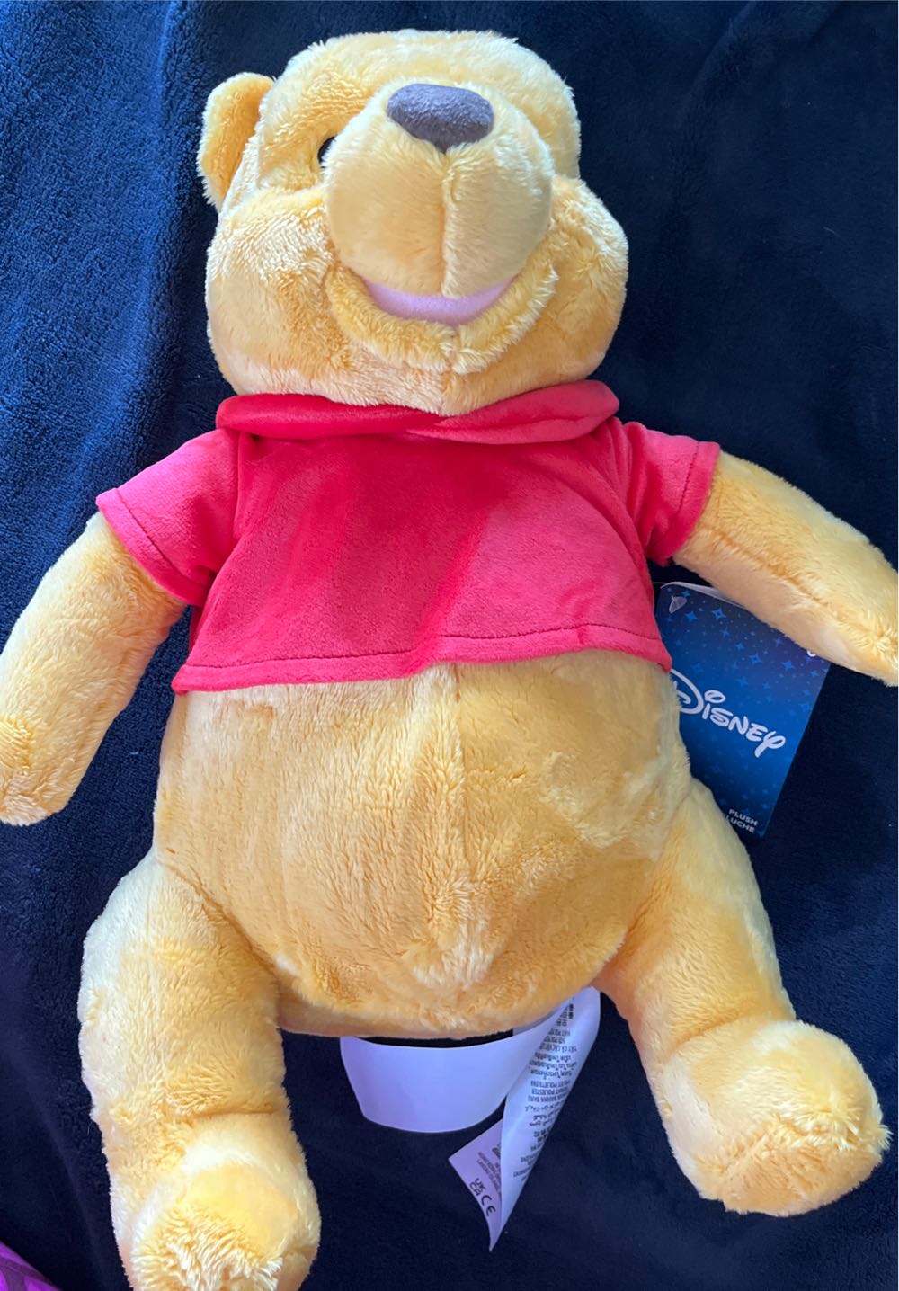 Winnie-The-Pooh Plush  plush collectible [Barcode 412312639593] - Main Image 2