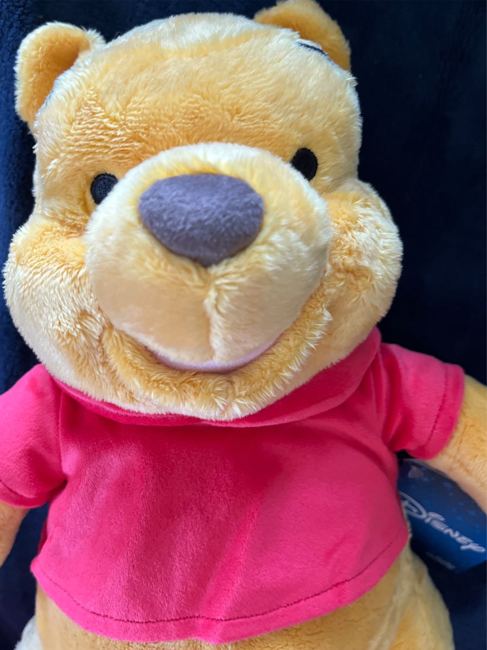 Winnie-The-Pooh Plush  plush collectible [Barcode 412312639593] - Main Image 3