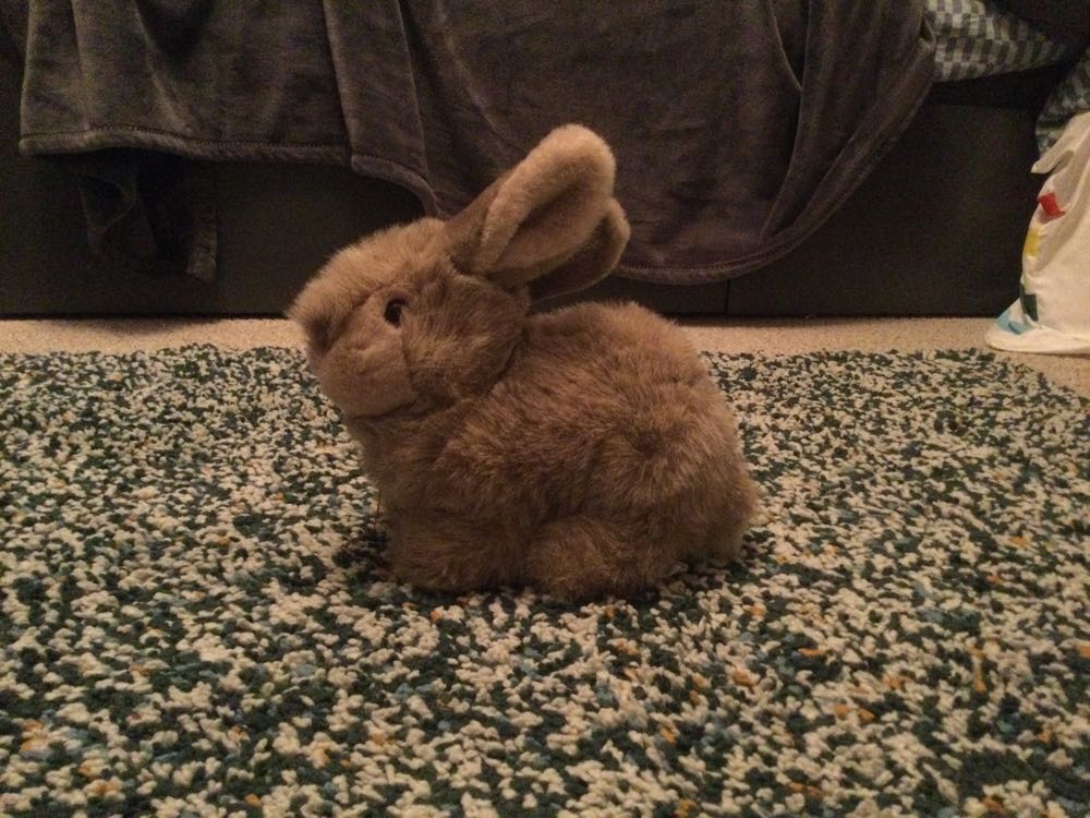 Matthew’s Auto Mascot