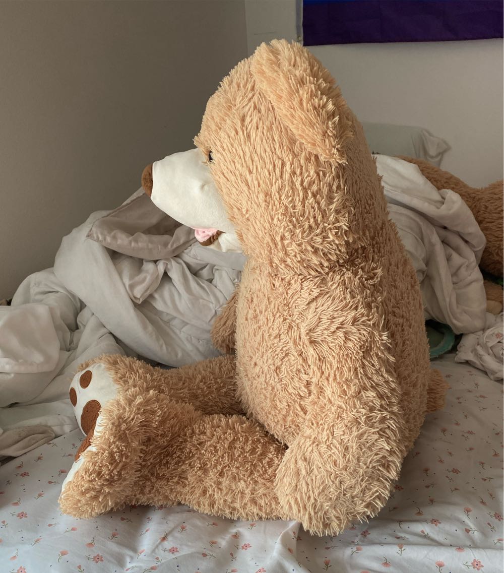 Ponpon  plush collectible - Main Image 2