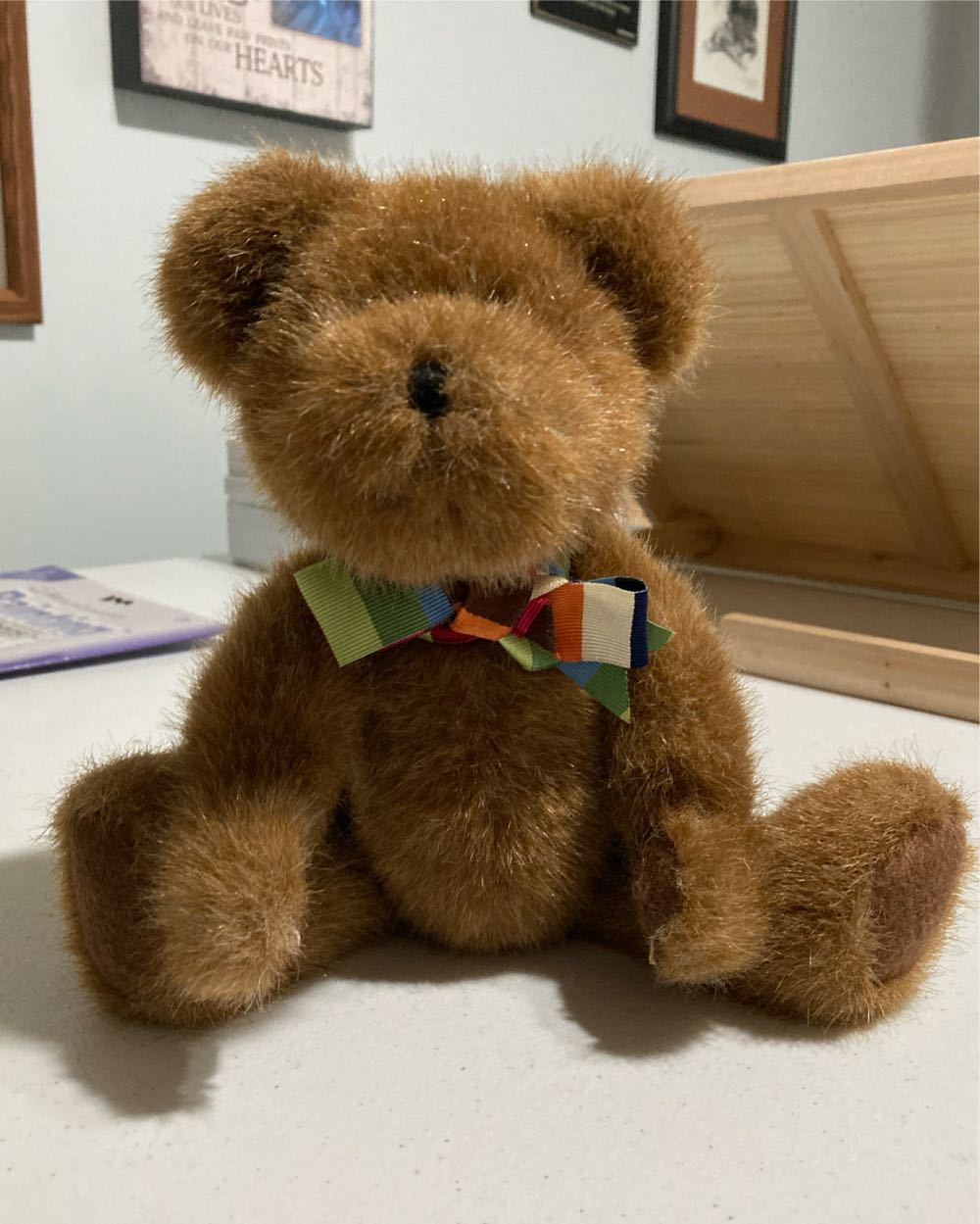 Canada Special Olympics Black Shirt