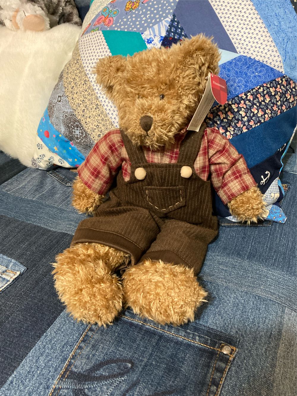 Mr.Wrinkle Boar (Pig)