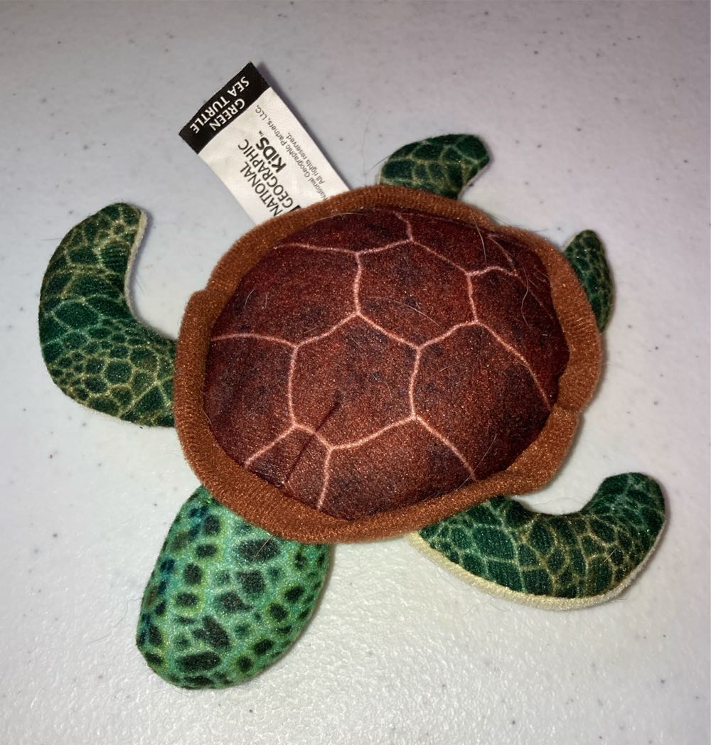 Tentacle Kitty Dragon Little One