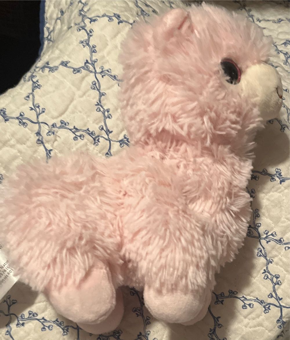 Pokemon Center - Look At It! - Pachirisu