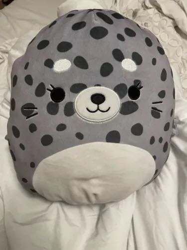 Fossilly Stegosaurus  - Small