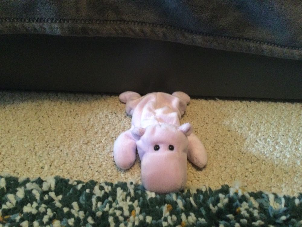 International - Good Luck Bear