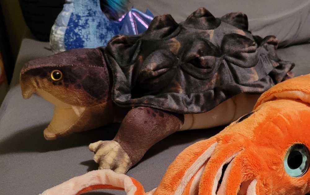 Micro Wave 2 - Funshine Bear