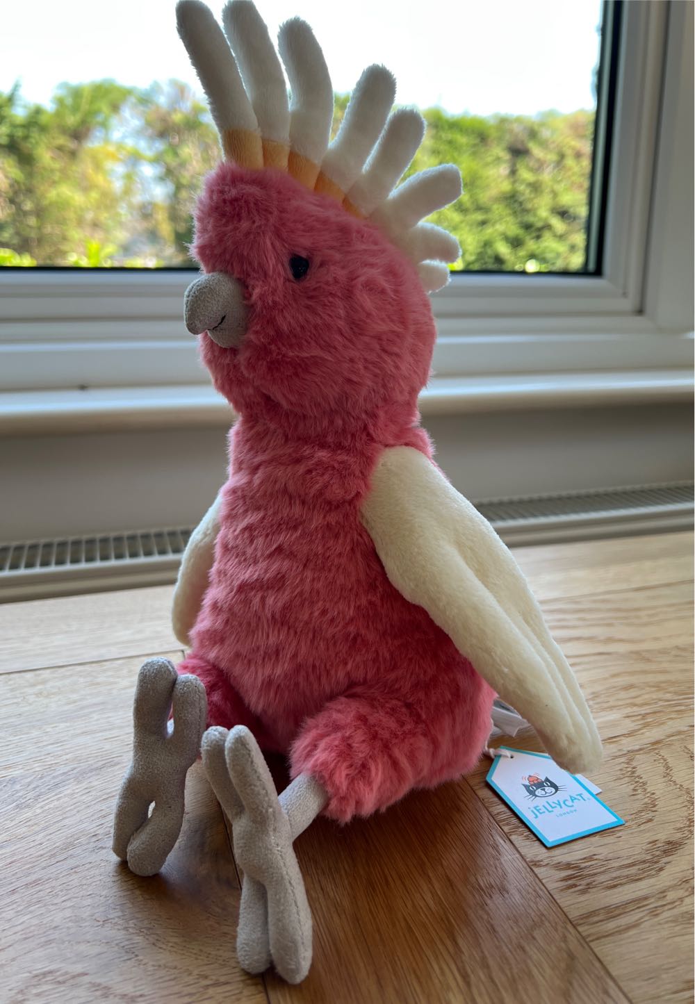 Takara Tomy Pokemon Get Doll Kyogre Width 33cm Japan Takaratomy Arts I Choose Soft Toy Basic Kimi! You! Pokémon