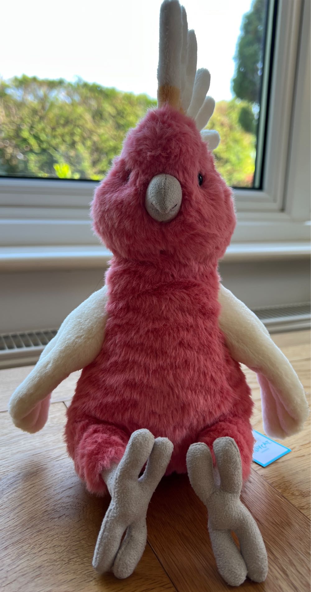 Squawkatoo  (United Kingdom) plush collectible [Barcode 670983161823] - Main Image 2