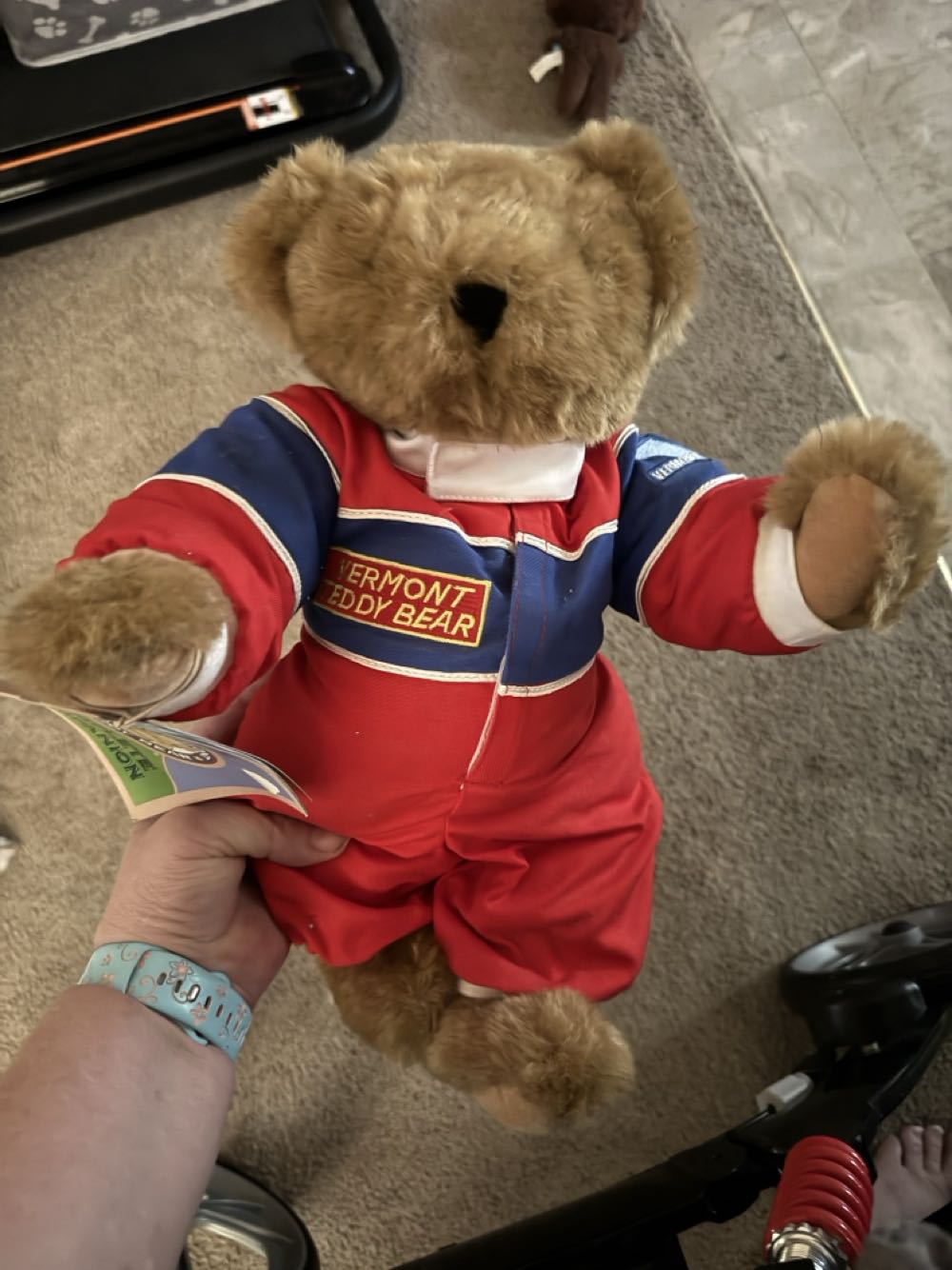 Shining Stars Beagle