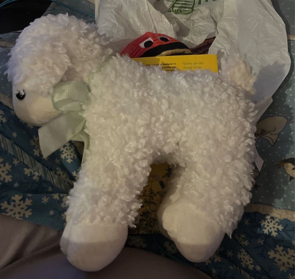 Pokémon Center: Tricks & Treats Gengar Chef Costume