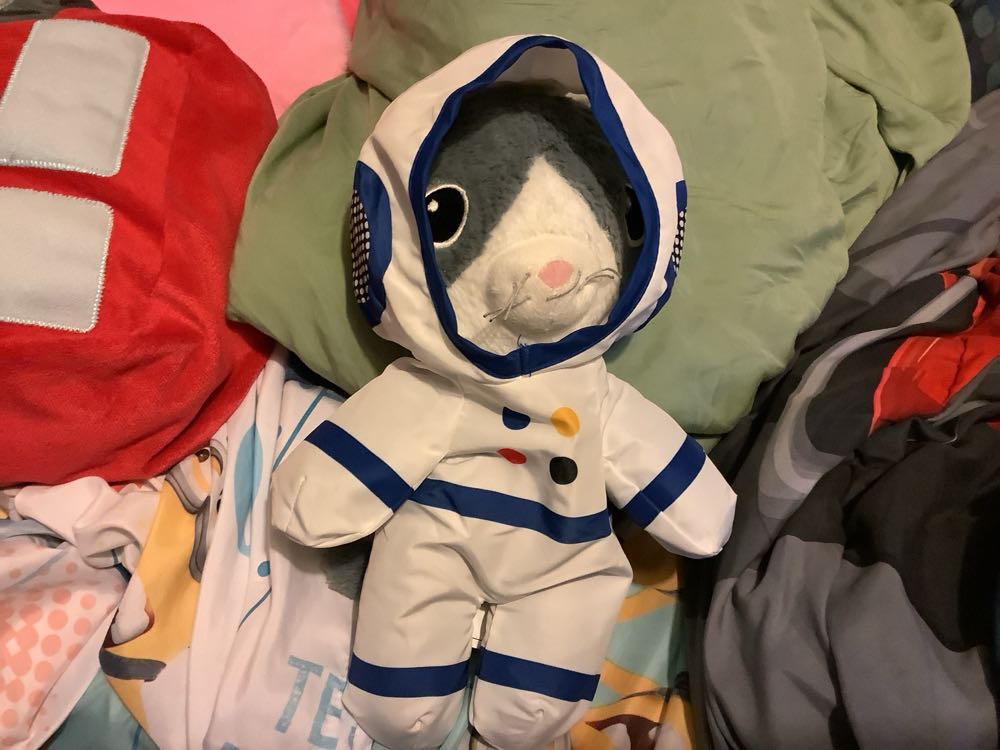 Glitter Eyes - Shine Bright Bear