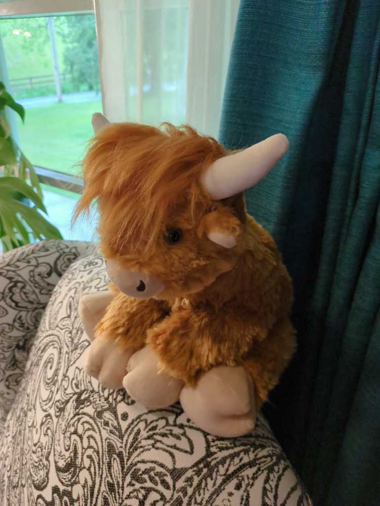 Highland Cow  (United States) plush collectible - Main Image 2