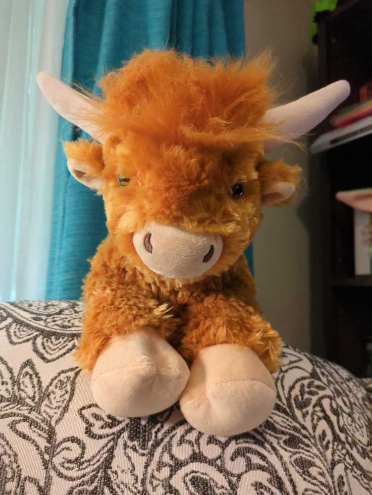 Highland Cow  (United States) plush collectible - Main Image 3