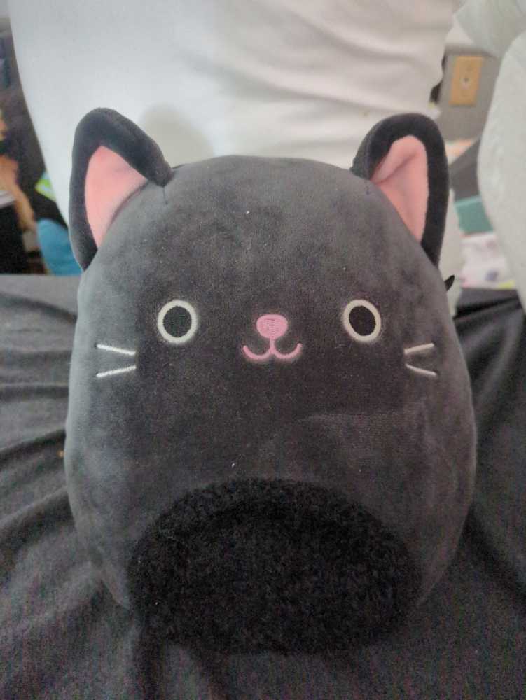 Squishmallows 8” Lexis The Red Panda