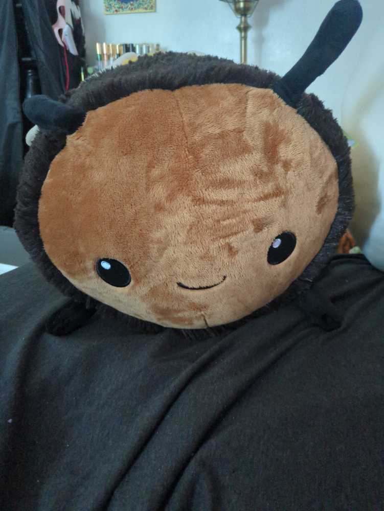 LA Kitty Rainbow Shortsleeve Zipup